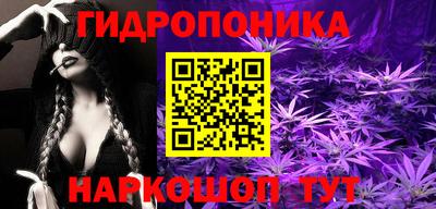 шишки Бийск