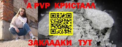 шишки Бийск