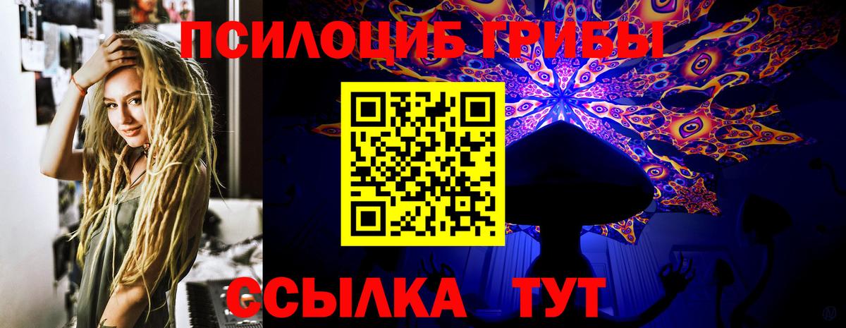 Псилоцибиновые грибы MAGIC MUSHROOMS  Вход с VPN  Братск 
